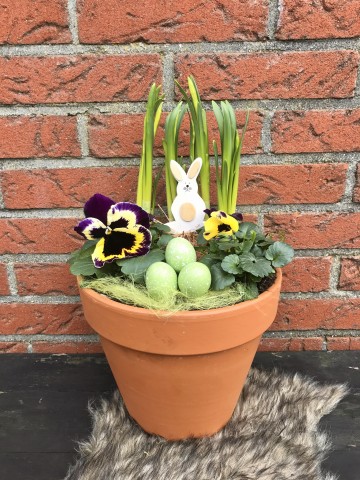 Mandjes  viooltjes  droogbloemen  diy pakket