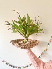 Mandjes  viooltjes  droogbloemen  diy pakket