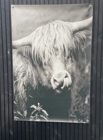 Tuinposter hooglander