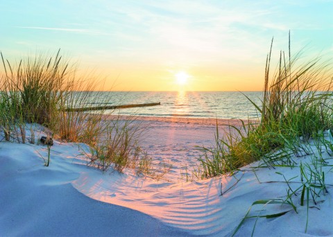 Tuinposter Strand