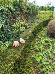 De tuin al klaar voor de lente   Een goeie tuinman nodig   Hij vraagt 