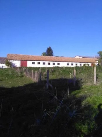 BOERDERIJ MET 2 GROTE GEBOUWEN EN VEEL LAND