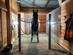 Leuk vrijstaand aanbod met 1 2 Ha en 5 paardenboxen VERKOCHT