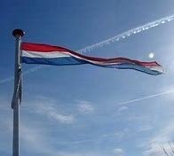 Elke vlag en wimpel  in elk gewenst formaat    COWI