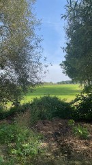 Perceel landbouwgrond te koop te Sint-Amands   Belgi&euml;