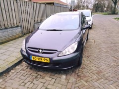 Peugeot 307 1 6-16V XS