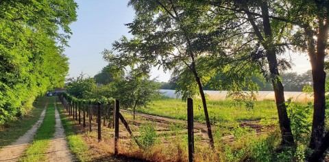 BOERDERIJ TE KOOP  In BEHANDELING