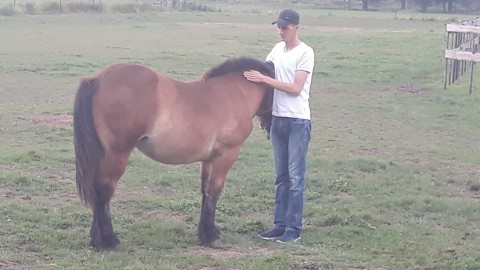 Woonboerderij gezocht