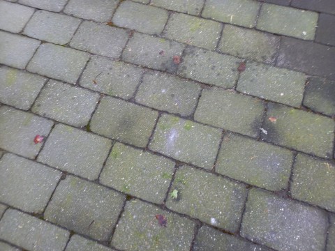 Te koop grijze tuin tegels