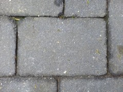 Te koop grijze tuin tegels