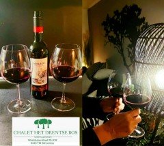 Volledig ingericht 4 persoons chalet te huur in Drenthe