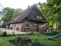 Vrijstaande  rietgedekte Saksische boerderij in Drenthe