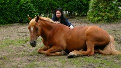 Gezocht- woning met een weide