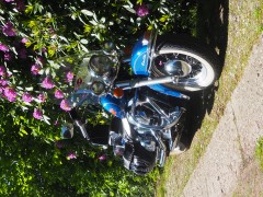 Harley Davidson FLSTC Heritage Classic uit 1993