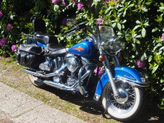 Harley Davidson FLSTC Heritage Classic uit 1993