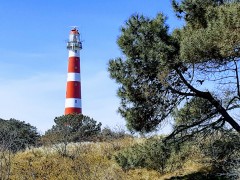 AMELAND Te Huur 4 pers chalet