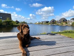 Vakantiehuis Giethoorn te huur