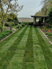 Ook uw gras groener als bij de buren