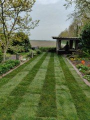Ook uw gras groener als bij de buren