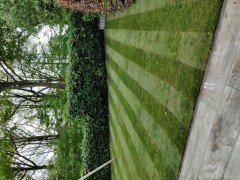 Ook uw gras groener als bij de buren