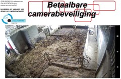 meer zicht op uw vee  machines  erf  woning met Areavisum cameras