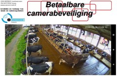 meer zicht op uw vee  machines  erf  woning met Areavisum cameras