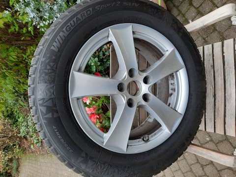 set winterbanden op velg