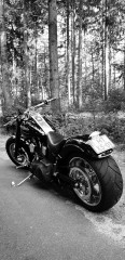 Harley davidson Softail fxsti 2005