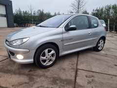 Peugeot 206 1 4 met nieuwe apk