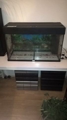 1 groot leeg aquarium met toebehoren