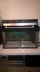 1 groot leeg aquarium met toebehoren