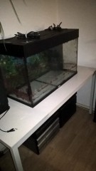 1 groot leeg aquarium met toebehoren