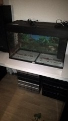 1 groot leeg aquarium met toebehoren