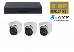 DHZ A-CCTV NVR met  4MP camera starlight