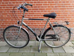 Nette Gazelle Grenoble herenfiets  Fiets met 7 versnellingen 61 cm