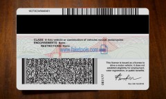 Passports  Visas  Drivers License  ID CARDS