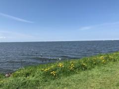 Gezellig chalet te huur op park aan Ijsselmeer  huisdier welkom