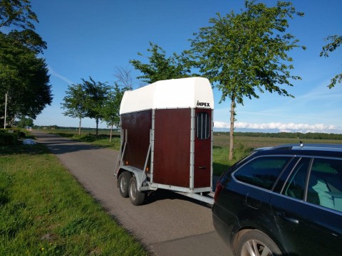 Paardetrailer