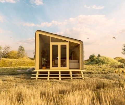 Modern Tiny House