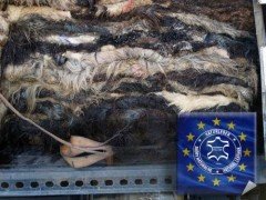 Ruwe schapenvacht schapenwol gevilte lamsvellen