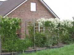 Vrijstaande bungalow mooi in het groen