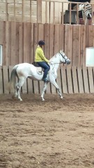 Halve boerderij of hele boerderij te huur gevraagd