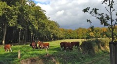 Gezocht een boerderij woning om te pachten huren