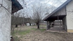 Boerderij  mooie aanbieding op anderhalf hectare  koopje