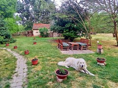 Een gerenoveerde boerderij op een grote kavel voor niet te duur