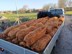 Houtsnippers in netzakken te koop