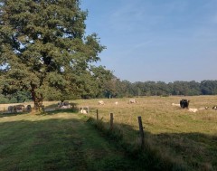 Boerderij BUITENKANSJE op een  zeldzaam mooie locatie
