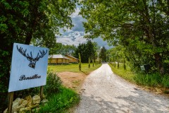 Vakantie paradijs op een Zuid Frans landgoed   Glampingclub Ponsillou