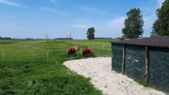 Woonboerderij met veel grond