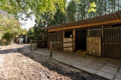 Woning met 1 8 ha eigen grond